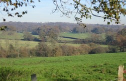 View near Scaynes Hill