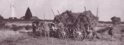 Harvesting near Scaynes Hill